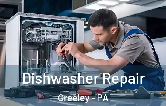  Dishwasher Repair Greeley - PA