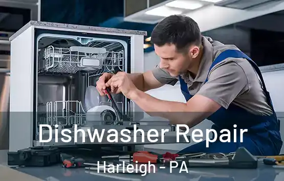  Dishwasher Repair Harleigh - PA