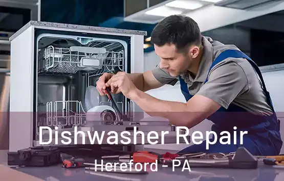  Dishwasher Repair Hereford - PA