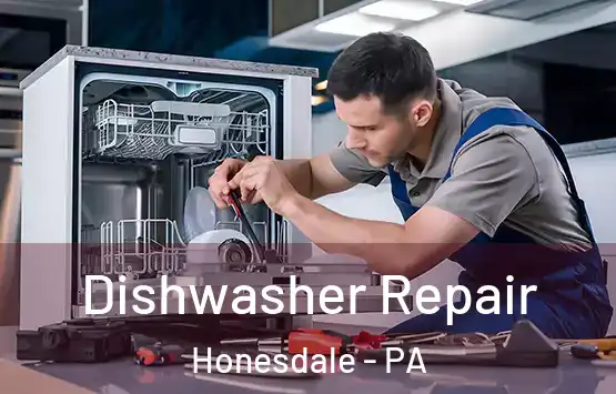  Dishwasher Repair Honesdale - PA