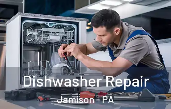  Dishwasher Repair Jamison - PA