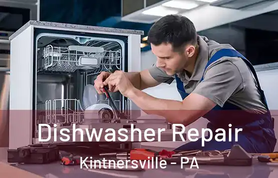  Dishwasher Repair Kintnersville - PA