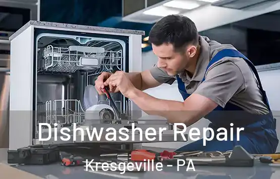  Dishwasher Repair Kresgeville - PA