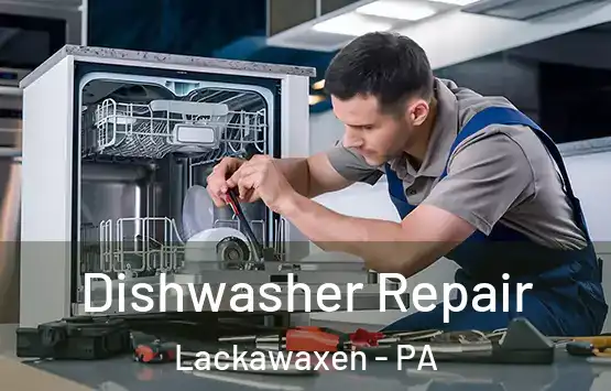  Dishwasher Repair Lackawaxen - PA