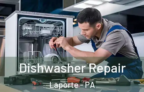  Dishwasher Repair Laporte - PA