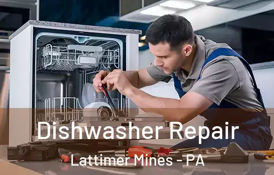  Dishwasher Repair Lattimer Mines - PA