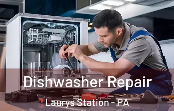  Dishwasher Repair Laurys Station - PA