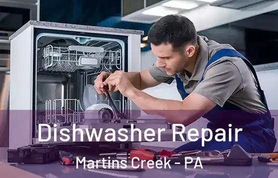  Dishwasher Repair Martins Creek - PA