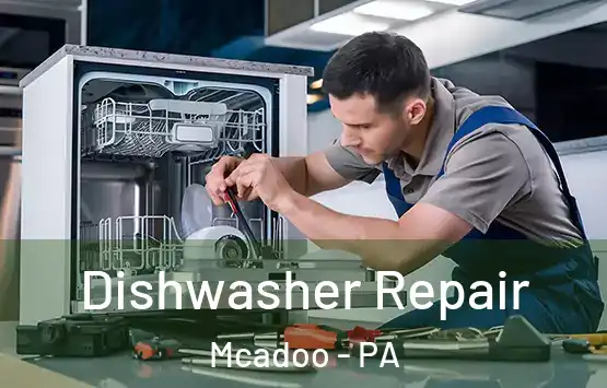  Dishwasher Repair Mcadoo - PA