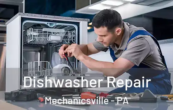  Dishwasher Repair Mechanicsville - PA