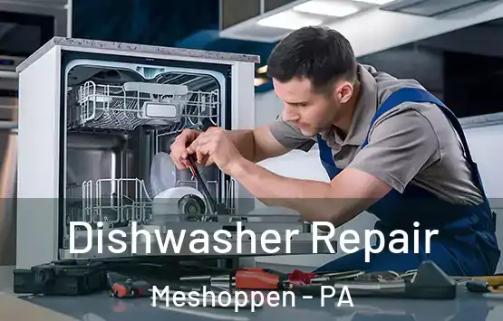  Dishwasher Repair Meshoppen - PA