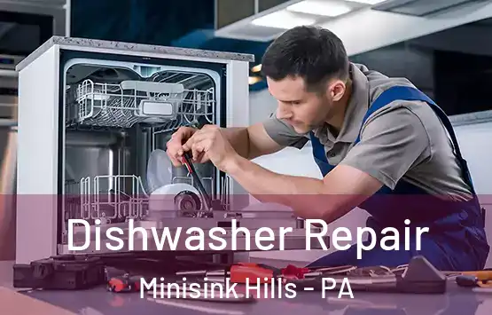  Dishwasher Repair Minisink Hills - PA