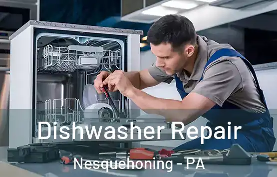  Dishwasher Repair Nesquehoning - PA
