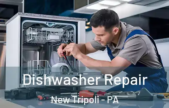  Dishwasher Repair New Tripoli - PA