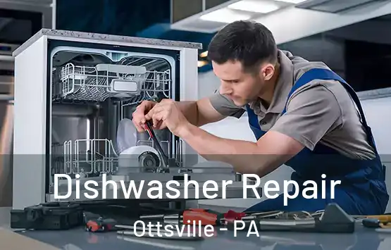  Dishwasher Repair Ottsville - PA
