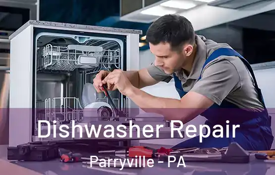  Dishwasher Repair Parryville - PA