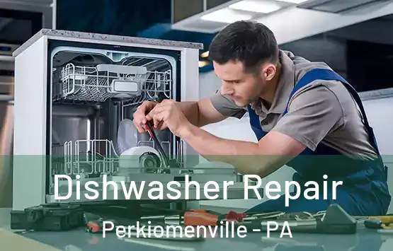  Dishwasher Repair Perkiomenville - PA