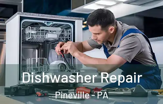  Dishwasher Repair Pineville - PA