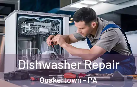  Dishwasher Repair Quakertown - PA