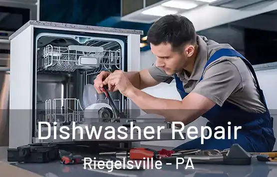  Dishwasher Repair Riegelsville - PA