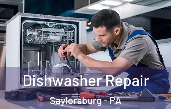  Dishwasher Repair Saylorsburg - PA