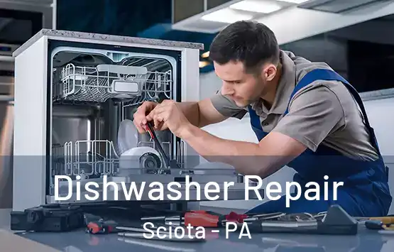  Dishwasher Repair Sciota - PA