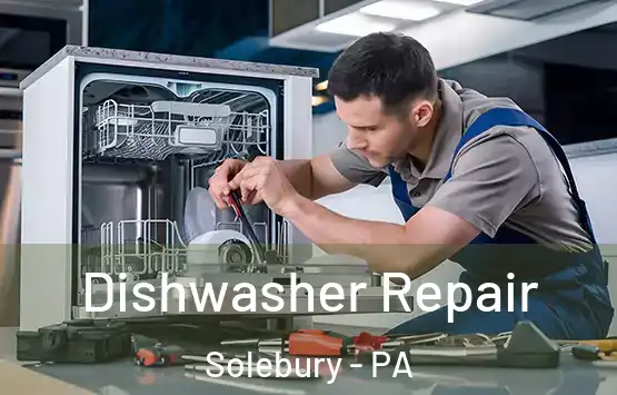  Dishwasher Repair Solebury - PA