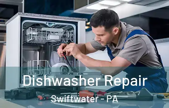  Dishwasher Repair Swiftwater - PA