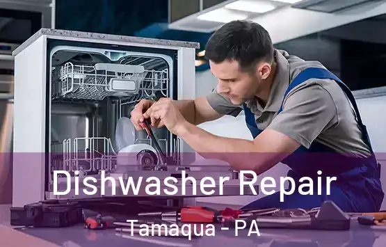  Dishwasher Repair Tamaqua - PA