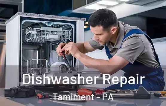  Dishwasher Repair Tamiment - PA