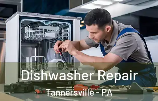  Dishwasher Repair Tannersville - PA