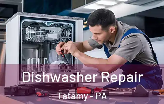  Dishwasher Repair Tatamy - PA