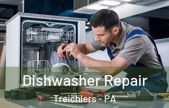  Dishwasher Repair Treichlers - PA
