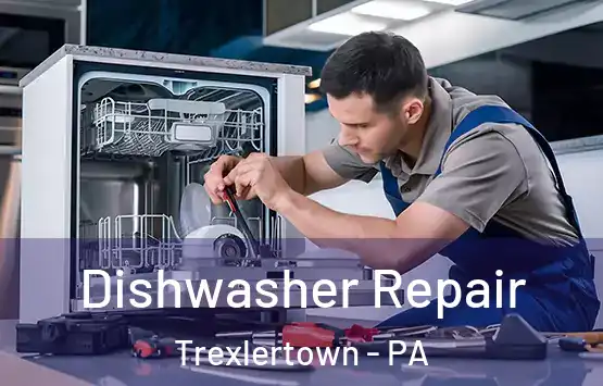  Dishwasher Repair Trexlertown - PA