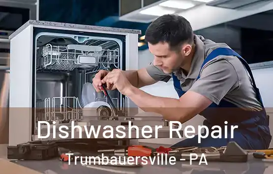  Dishwasher Repair Trumbauersville - PA