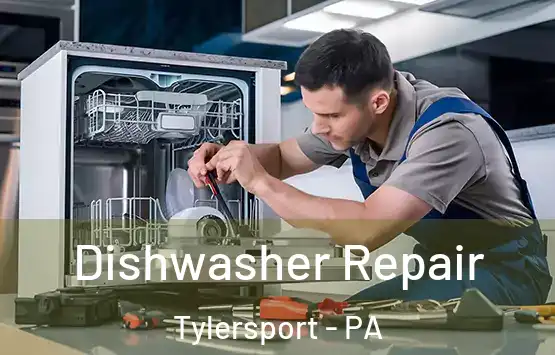  Dishwasher Repair Tylersport - PA