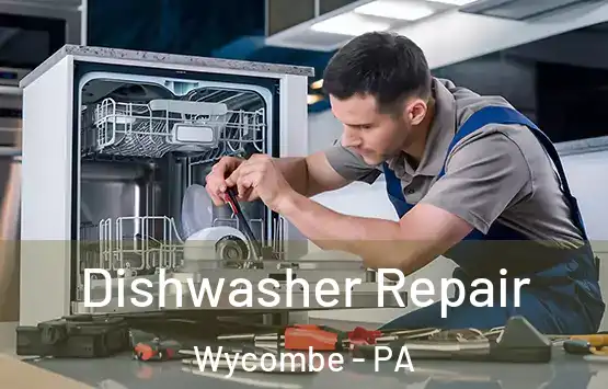  Dishwasher Repair Wycombe - PA