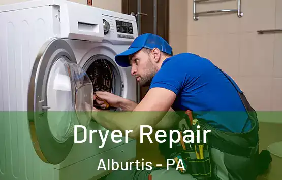  Dryer Repair Alburtis - PA