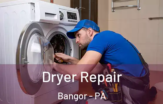  Dryer Repair Bangor - PA