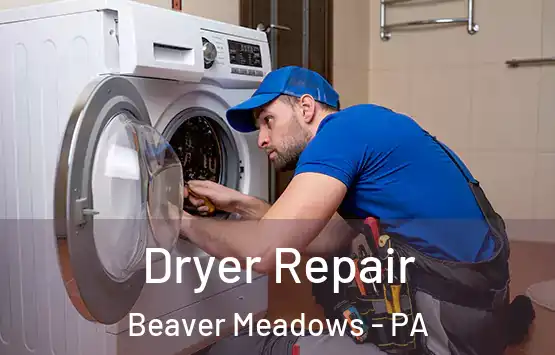  Dryer Repair Beaver Meadows - PA