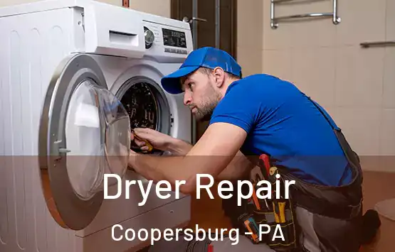  Dryer Repair Coopersburg - PA