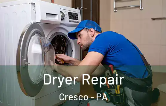  Dryer Repair Cresco - PA