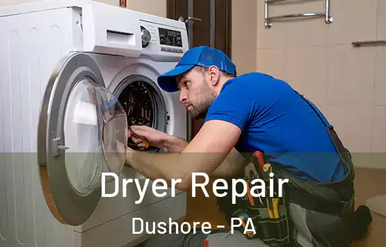  Dryer Repair Dushore - PA