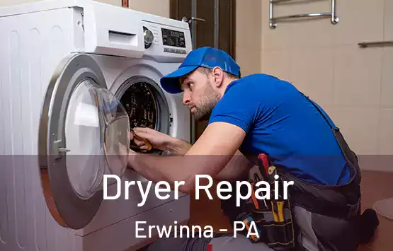  Dryer Repair Erwinna - PA