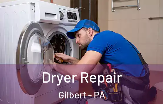  Dryer Repair Gilbert - PA