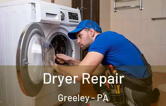  Dryer Repair Greeley - PA