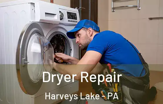  Dryer Repair Harveys Lake - PA
