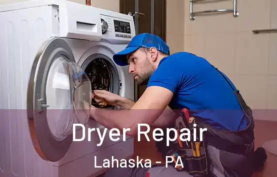  Dryer Repair Lahaska - PA