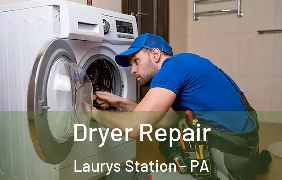  Dryer Repair Laurys Station - PA