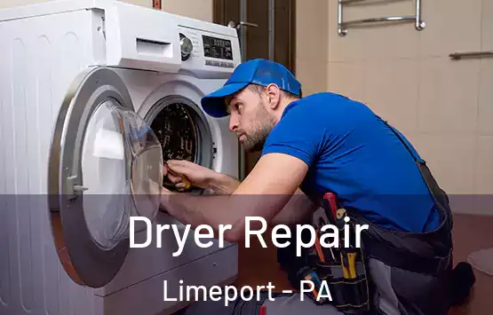  Dryer Repair Limeport - PA